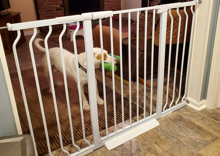 tall pet gate